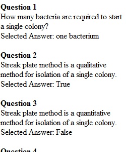 Lab Quiz 6